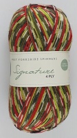 WYS - Signature 4 Ply - Country Birds - 1170 Green Woodpecker